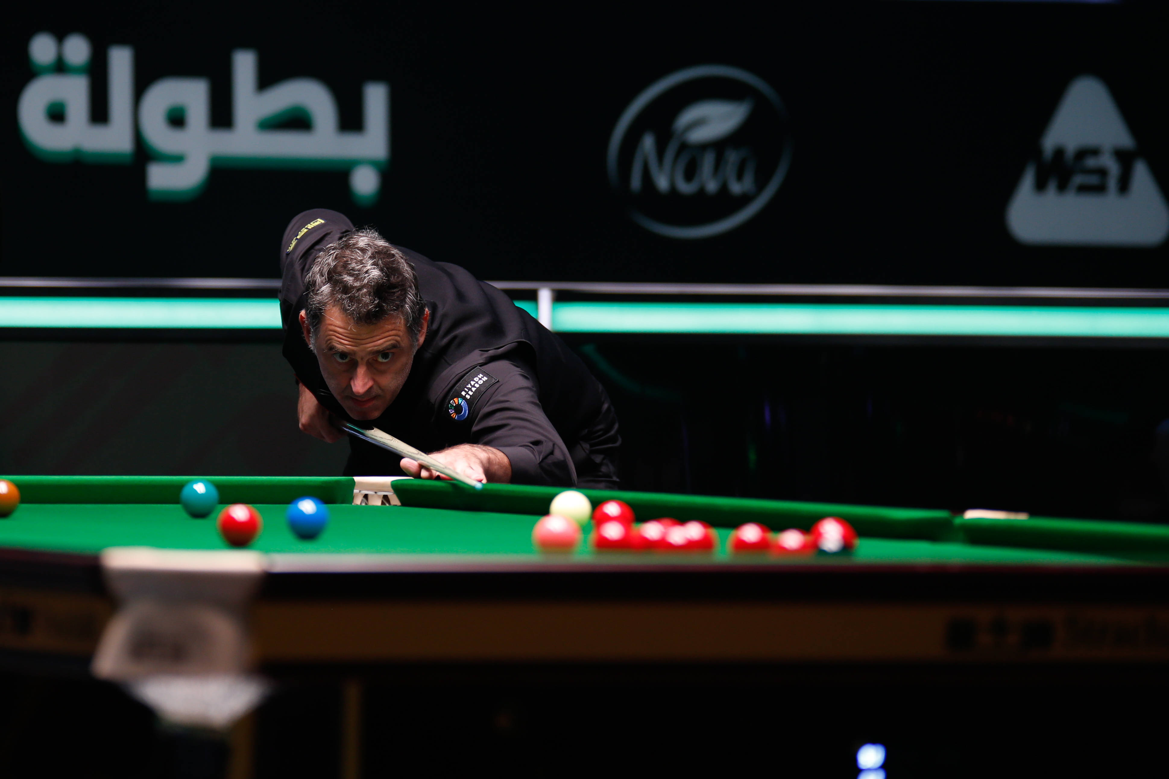 贡献力量 贡献力量