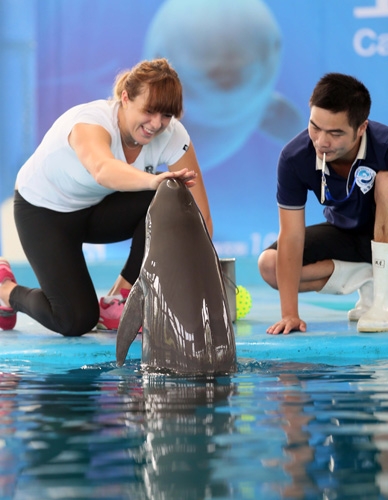 也会特别安 也会特别安